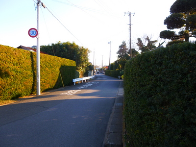 kisarazu201401 (3).JPG